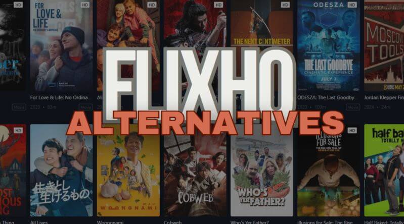 Top FlixHQ.to Competitors & Alternatives (2025)