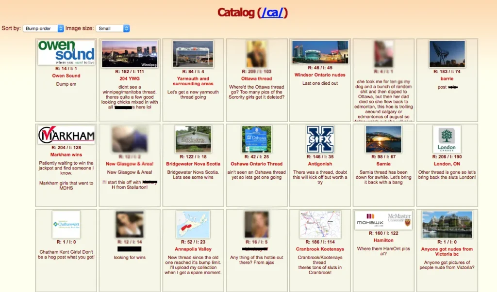 Anonib: Everything You Need to Know About the Platform