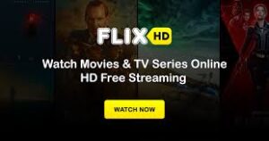 Top flixhq.to Competitors & Alternatives (2025 Guide)
